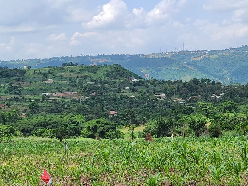 whatsapp image 2026 01 15 at 9.12.13 pm whatsapp image 2026 01 15 at 9.12.13 pm